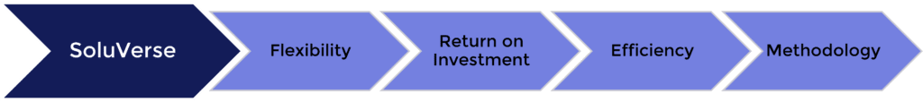 Access SharePoint Project Power Apps Consultant Luxembourg SoluVerse - Flexibility - Return on Investement - Efficiency - Methodology